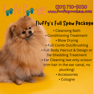 Social Media Post Examples33 - The Real Social Company